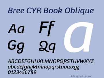 Bree CYR Book Italic Version 2.000;hotconv 1.0.109;makeotfexe 2.5.65593 Font Sample