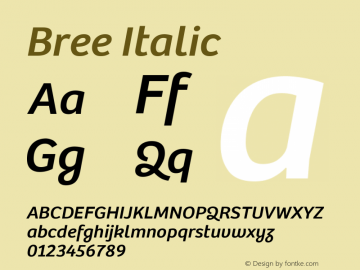 Bree Italic Version 2.000;hotconv 1.0.109;makeotfexe 2.5.65593 Font Sample