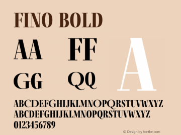 Fino-Bold Version 1.012;PS 001.012;hotconv 1.0.88;makeotf.lib2.5.64775; ttfautohint (v1.5.34-1b95) Font Sample