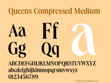Queens Compressed Medium Version 1.000 | wf-rip DC20191205图片样张