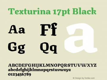 Texturina 17pt Black Version 1.002图片样张