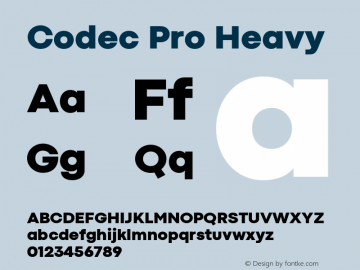 Codec Pro Heavy Version 1.000;hotconv 1.0.109;makeotfexe 2.5.65596图片样张