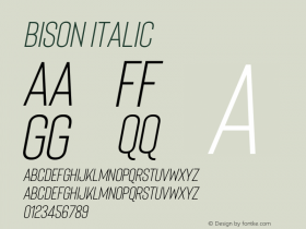 Bison Regular Italic Version 1.007图片样张