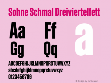 SohneSchmal-Dreiviertelfett Version 1.107 | w-rip DC20201120图片样张