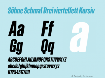 SohneSchmal-DreiviertelfettKurs Version 1.107;hotconv 1.0.116;makeotfexe 2.5.65601;0图片样张