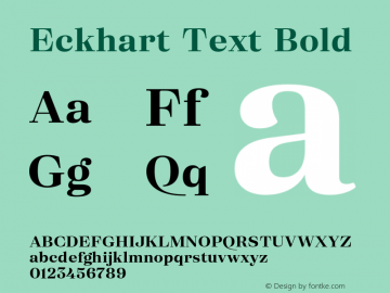 Eckhart Text Bold Version 1.000;hotconv 1.0.109;makeotfexe 2.5.65596图片样张