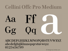 Cellini Offc Pro Medium Version 7.504; 2009; Build 1022图片样张