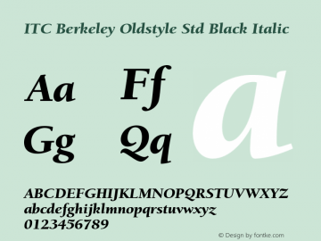 BerkeleyStd-BlackItalic Version 1.00 Font Sample