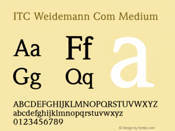 ITC Weidemann Com Medium Version 2.01图片样张