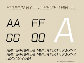 Hudson NY Pro Serif Thin Itl 1.080 Font Sample