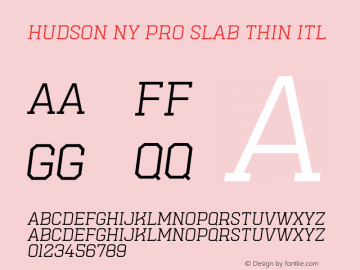 Hudson NY Pro Slab Thin Itl 1.055 Font Sample