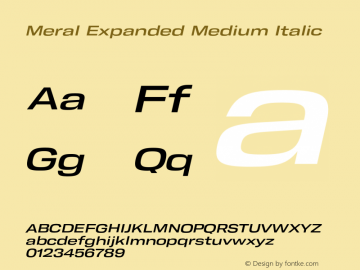 Meral Expanded Medium Italic Version 1.000;hotconv 1.0.109;makeotfexe 2.5.65596 Font Sample