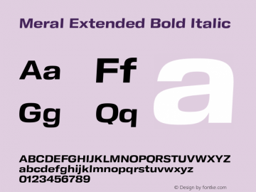Meral Extended Bold Italic Version 1.000;hotconv 1.0.109;makeotfexe 2.5.65596 Font Sample