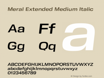 Meral Extended Medium Italic Version 1.000;hotconv 1.0.109;makeotfexe 2.5.65596 Font Sample
