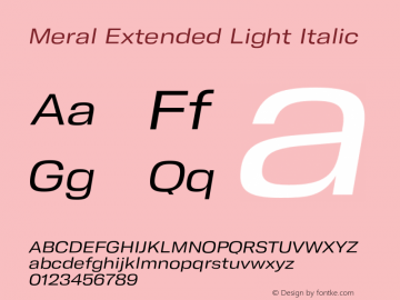 Meral Extended Light Italic Version 1.000;hotconv 1.0.109;makeotfexe 2.5.65596 Font Sample