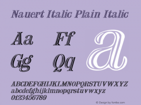 Nauert Italic Plain Italic Unknown Font Sample