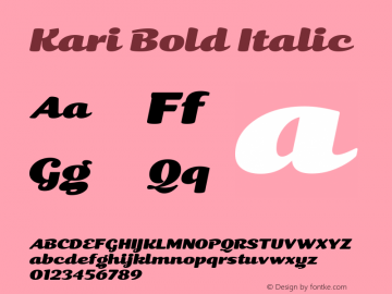 Kari Bold Italic 3.001图片样张