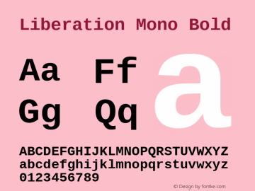 Liberation Mono Bold Version 1.07.4 Font Sample