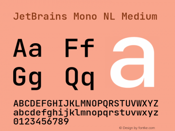 JetBrains Mono NL Medium Version 2.210; ttfautohint (v1.8.3) Font Sample