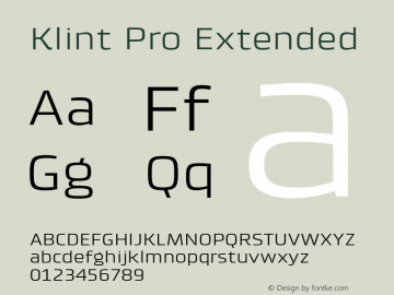 Klint Pro Extended Version 1.00图片样张