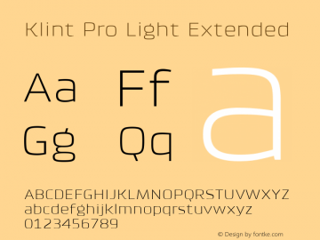 Klint Pro Light Extended Version 1.00图片样张