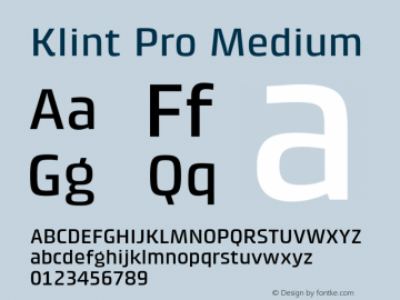 Klint Pro Medium Version 1.00图片样张