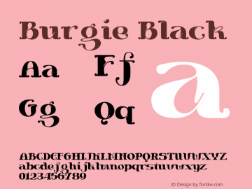 Burgie Black Version 1.000;hotconv 1.0.109;makeotfexe 2.5.65596 Font Sample