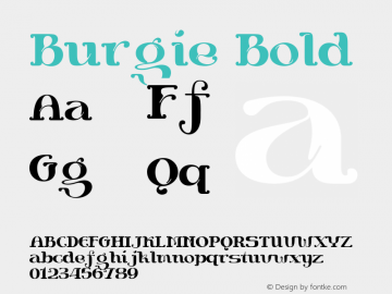 Burgie Bold Version 1.000;hotconv 1.0.109;makeotfexe 2.5.65596 Font Sample