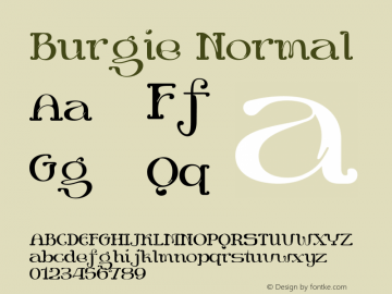 Burgie Normal Version 1.000;hotconv 1.0.109;makeotfexe 2.5.65596 Font Sample