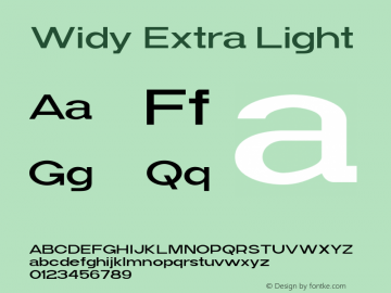 Widy-ExtraLight Version 1.000 Font Sample