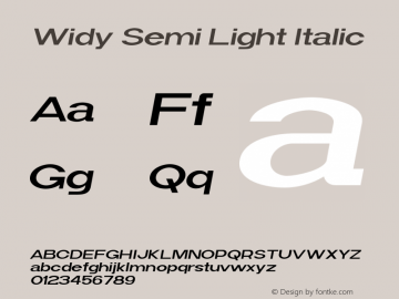 Widy-SemiLightItalic Version 1.000图片样张