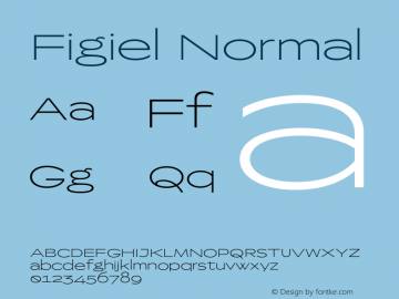 Figiel Normal Version 1.000;hotconv 1.0.109;makeotfexe 2.5.65596图片样张