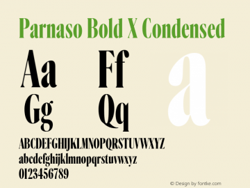 Parnaso Bold X Condensed Version 1.000 DEVELOPMENT | w-rip DC20190330 Font Sample