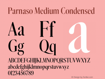 Parnaso Medium Condensed Version 0.000 DEVELOPMENT | w-rip DC20190330图片样张