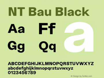 NT Bau Black Version 1.000;PS 001.000;hotconv 1.0.88;makeotf.lib2.5.64775图片样张