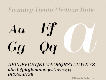 Foundry Tiento Medium Italic Version 1.001; ttfautohint (v1.8)图片样张