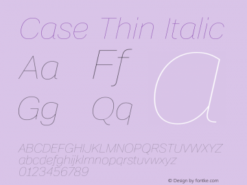 Case Thin Italic Version 1.000 | wf-rip DC20201010 Font Sample