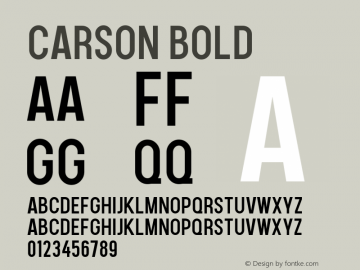 Carson Bold Version 0.00 March 28, 2018图片样张