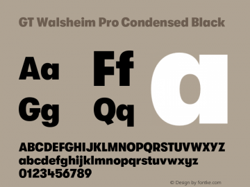 GT Walsheim Pro Condensed Black Version 2.001;PS 002.001;hotconv 1.0.88;makeotf.lib2.5.64775 Font Sample