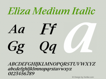 Eliza Medium Italic Version 1.001;hotconv 1.0.109;makeotfexe 2.5.65596 Font Sample