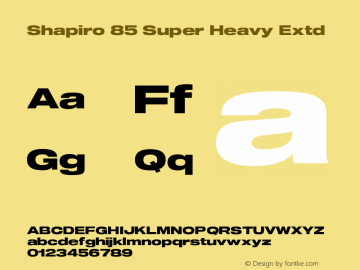 Shapiro 85 Super Heavy Extd Version 3.001图片样张