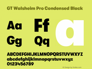 GT Walsheim Pro Condensed Black Version 2.001 Font Sample