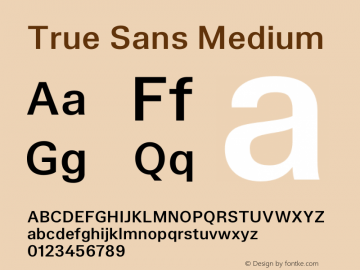 True Sans Medium Version 1.000图片样张