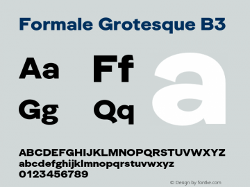 Formale Grotesque B3 Version 2.010;hotconv 1.0.109;makeotfexe 2.5.65596图片样张