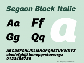 Segaon Black Italic Version 1.000图片样张