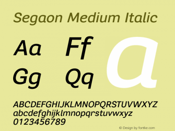 Segaon Medium Italic Version 1.000 Font Sample