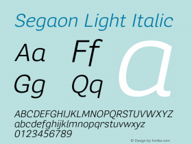 Segaon Light Italic Version 1.000图片样张