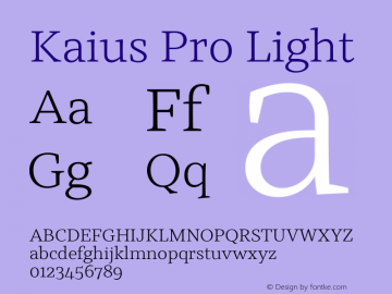 Kaius Pro Light Version 1.000图片样张