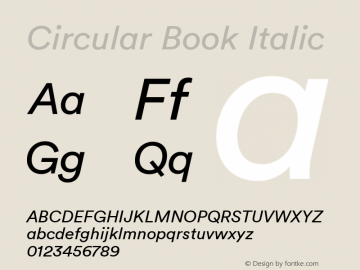 Circular Book Italic Version 1.001 Font Sample