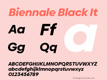 Biennale Black It Version 1.001;hotconv 1.0.109;makeotfexe 2.5.65596图片样张